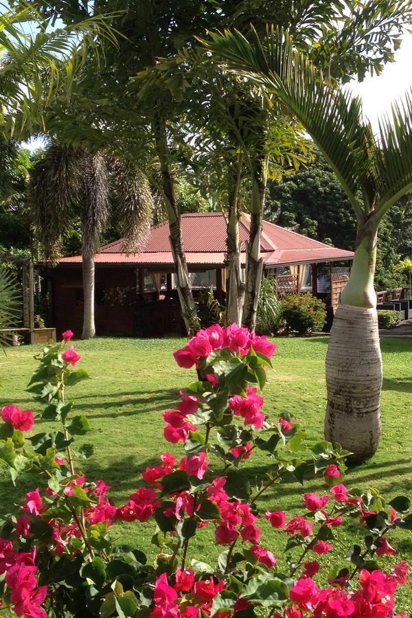 Le Bungalow Des Bougainvilliers Ducos Exterior photo